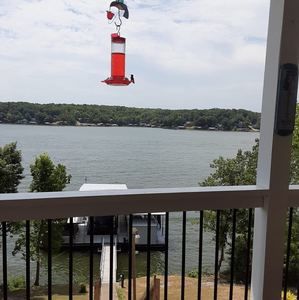 Meet your Posher, Bridgette